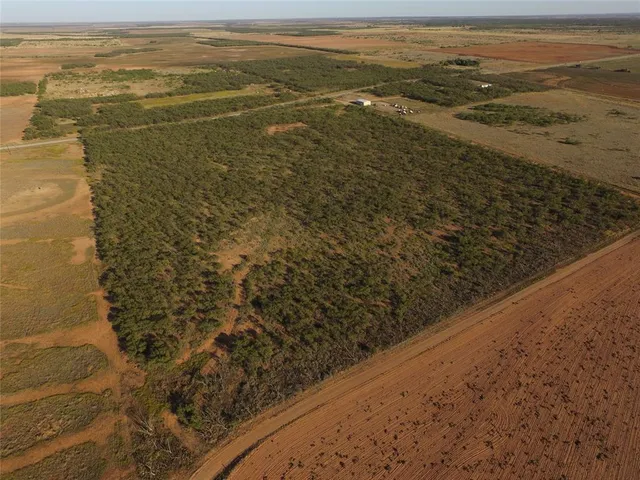 a view of an ocean beach