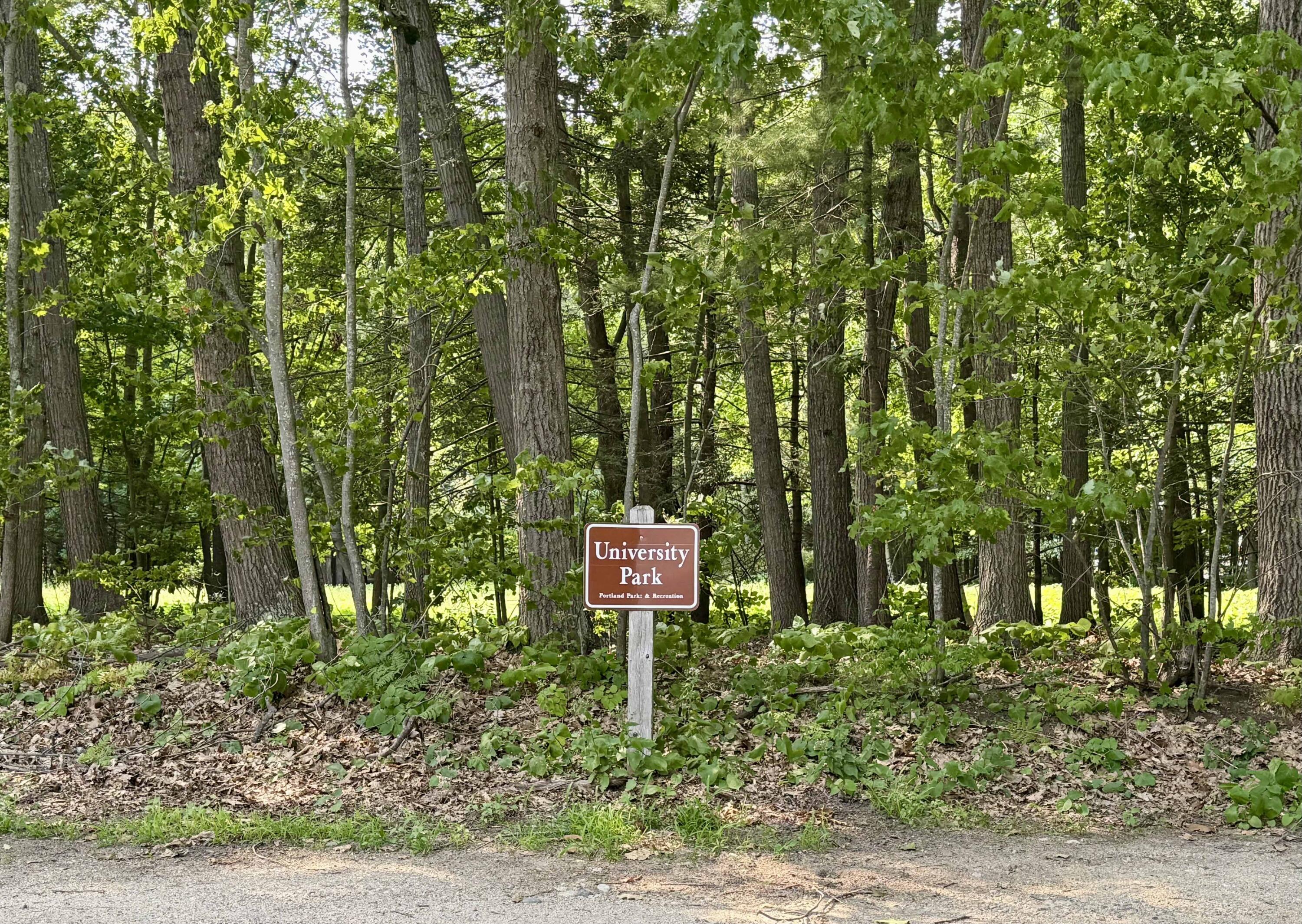 173 Harvard Street, Unit B Portland, ME 04103 - Photo 7 of 14 University Park