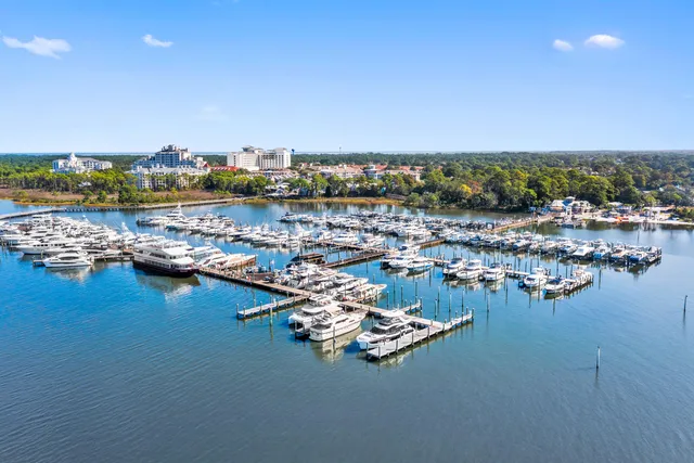 a view of a lake with boats and trees in the background