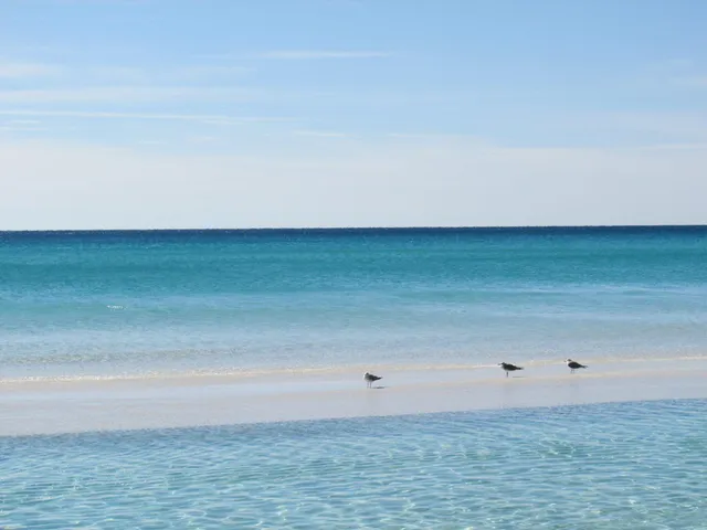 $1,395,000 | 1303 Laurel Way, Miramar Beach, FL 32550