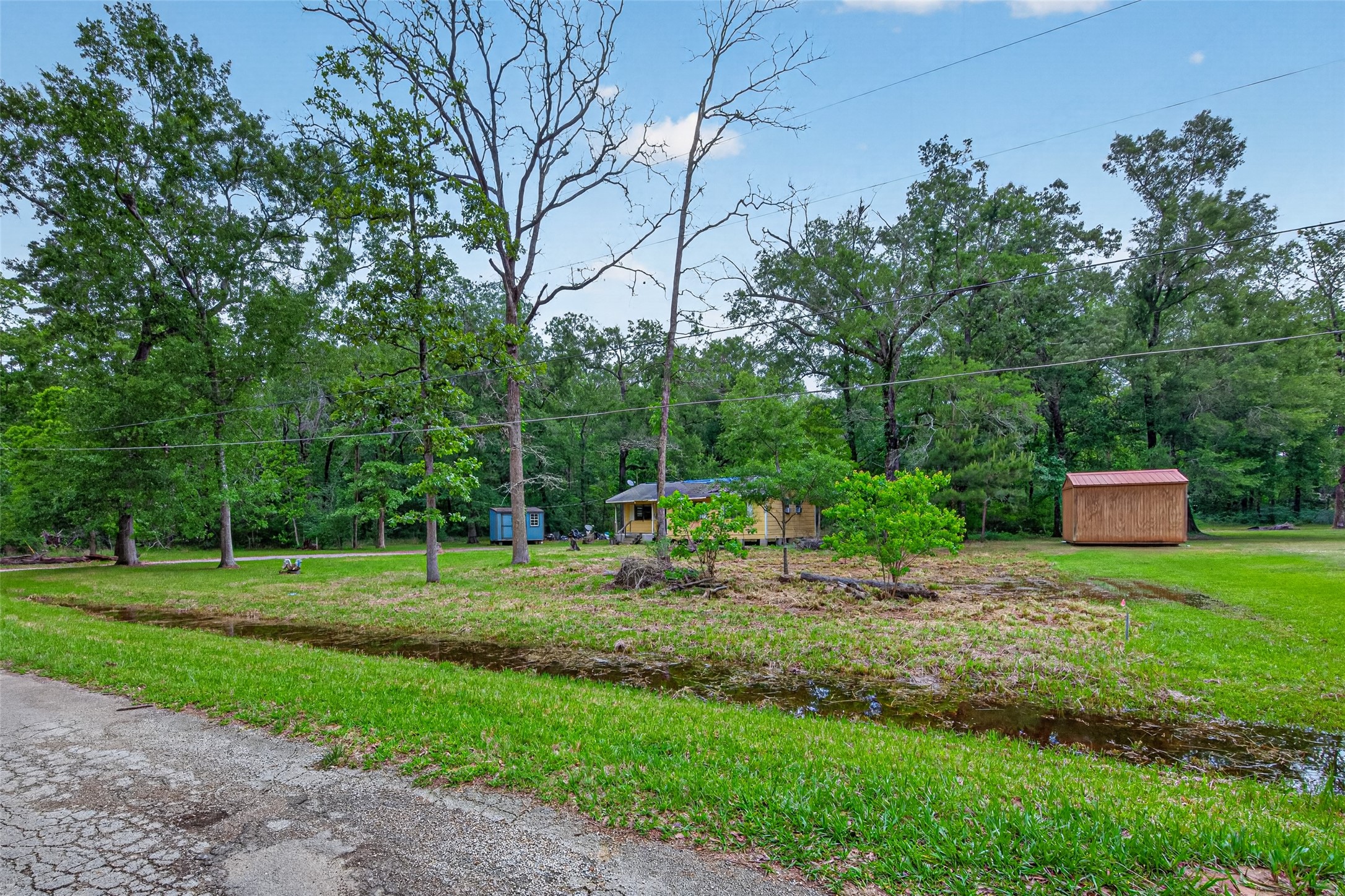 156 County Road 3709B Splendora, TX 77372 - Photo 8 of 29 a view of a park with large trees