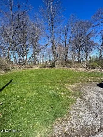 a view of a park with large trees