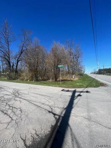 a view of a yard with plants