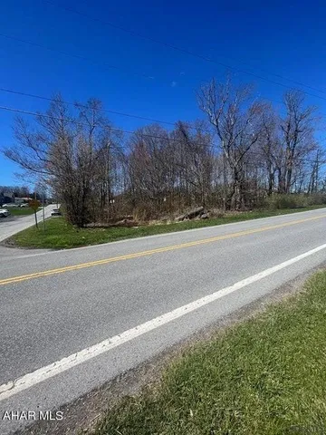 a view of a yard with a large tree