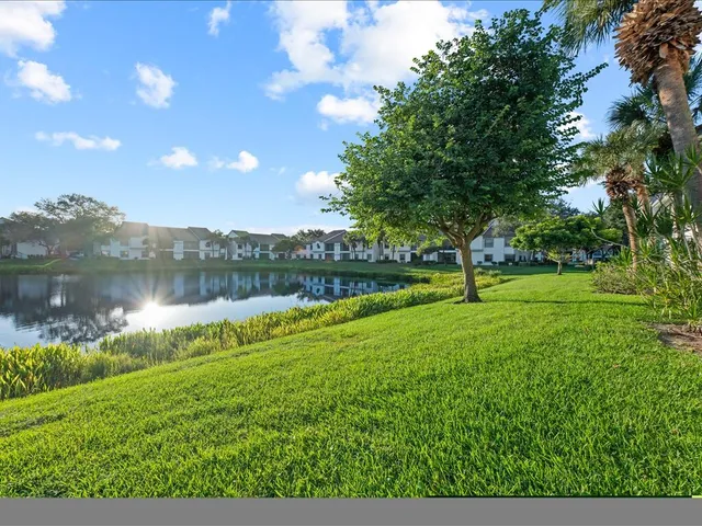 a view of a lake with a yard and a large tree