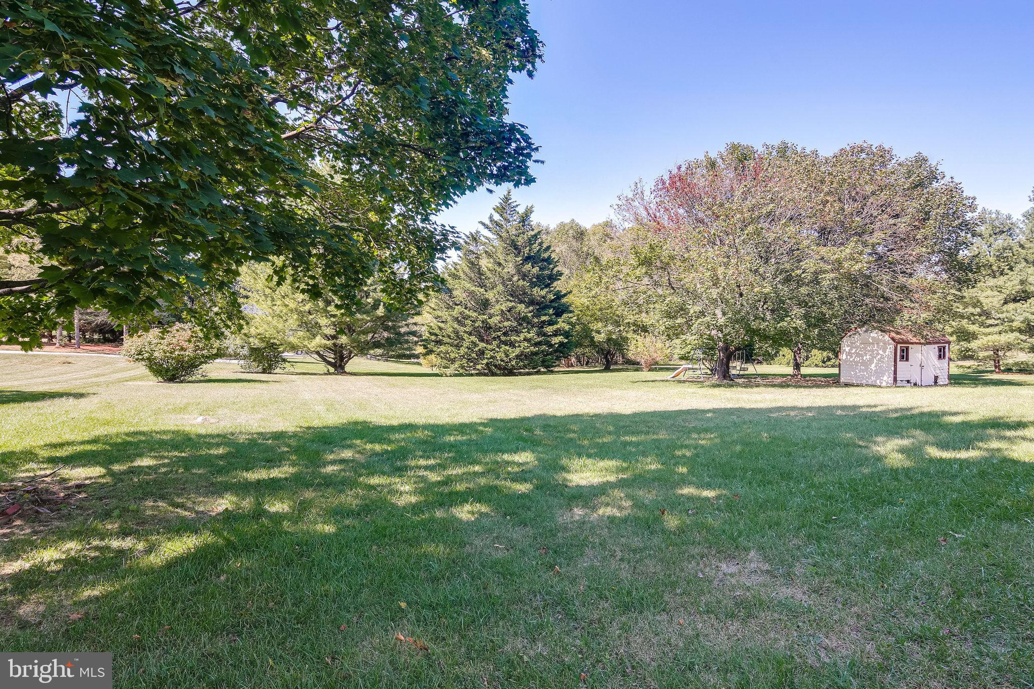 Beautiful Tree Shaded Back Yard