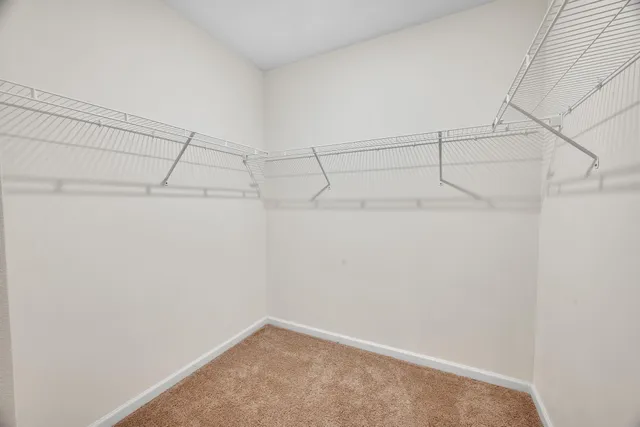 a view of a backyard with plants and a garden