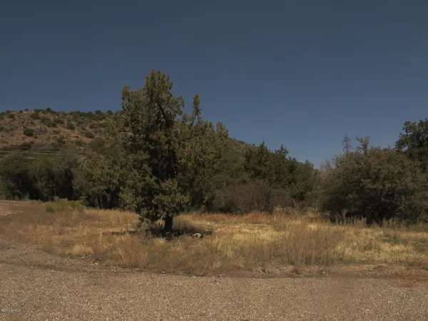 a view of a dry yard with trees