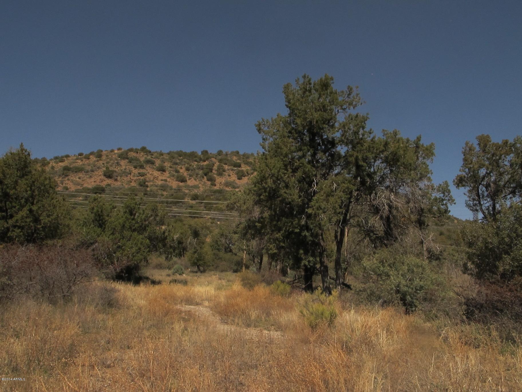 52975 East Harper Road Miami, AZ 85539 - Photo 14 of 31 a view of a field
