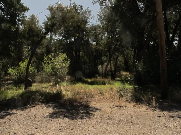 a view of a yard with a tree