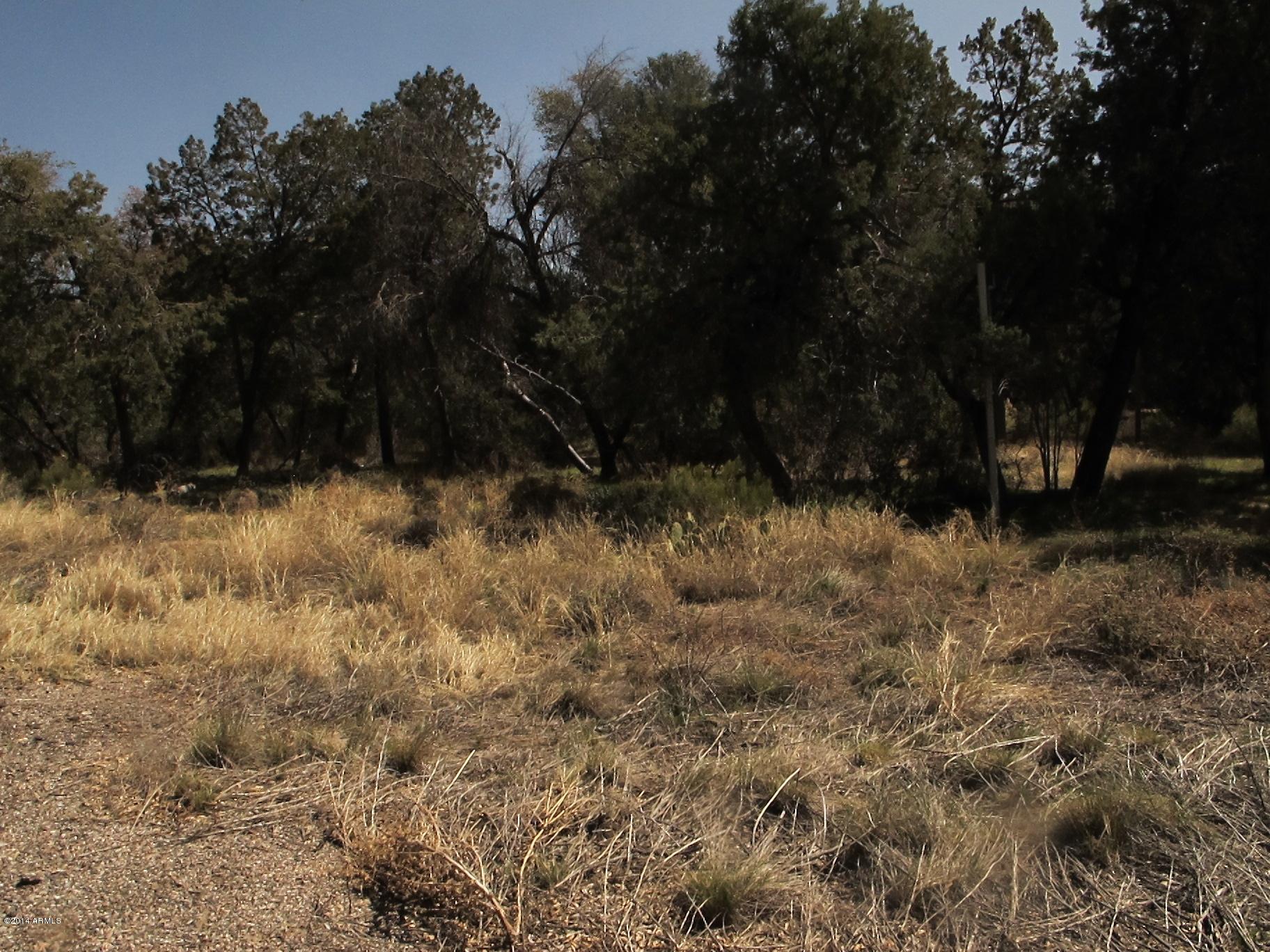 52975 East Harper Road Miami, AZ 85539 - Photo 16 of 31 a view of a yard