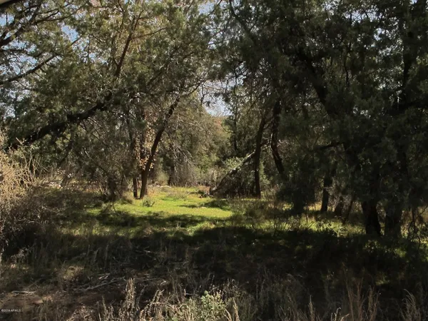 a view of backyard of green space