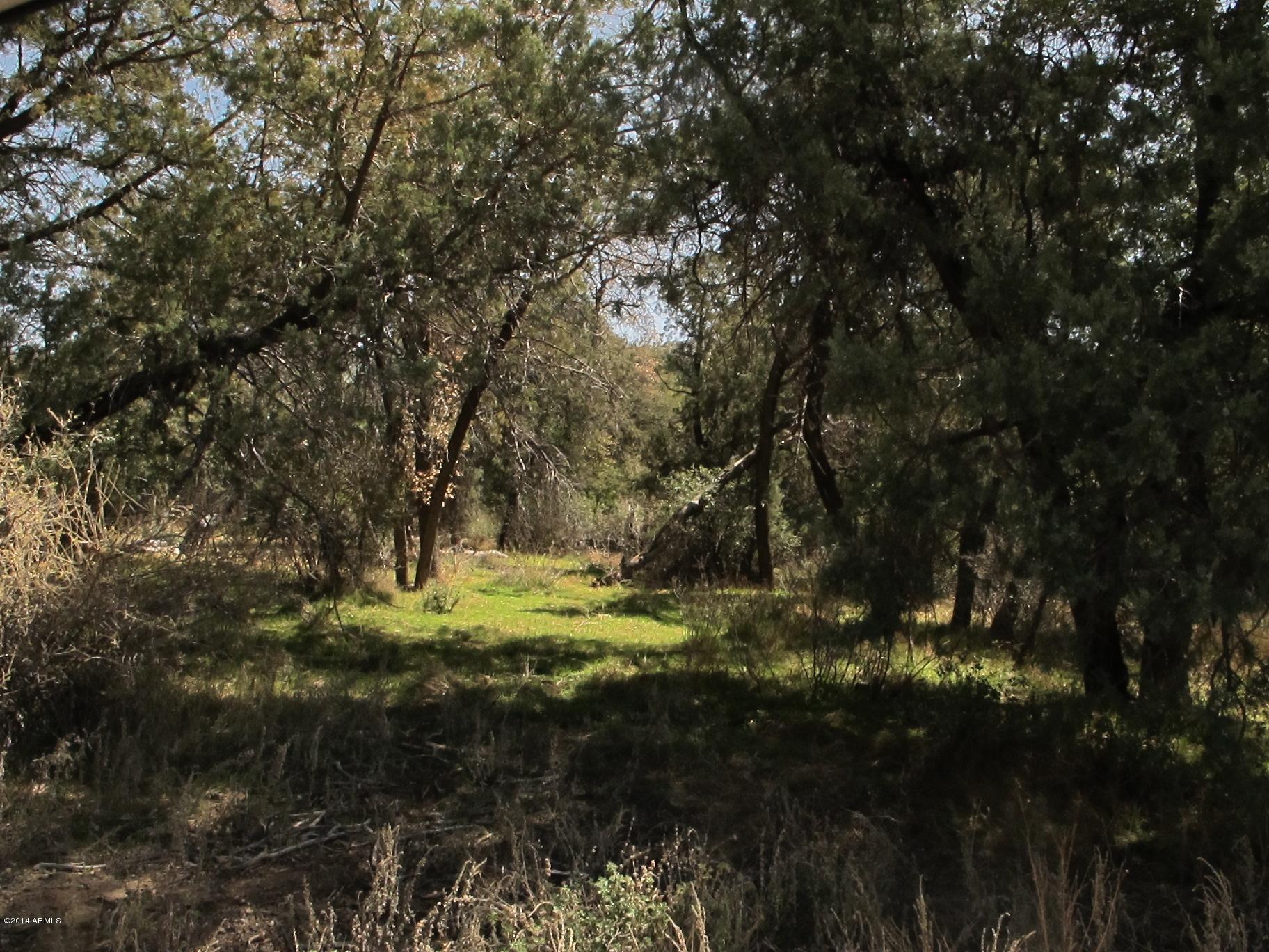 52975 East Harper Road Miami, AZ 85539 - Photo 18 of 31 a backyard of a house with a yard and lake view