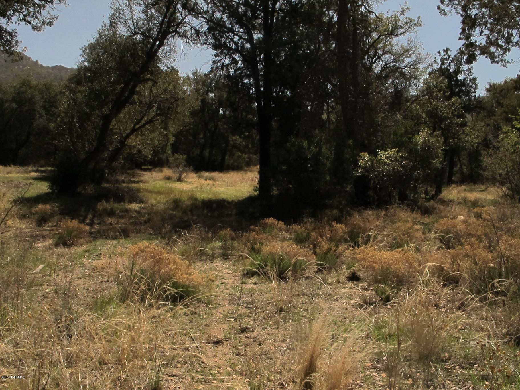 52975 East Harper Road Miami, AZ 85539 - Photo 19 of 31 a view of backyard of green space