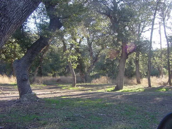 a view of outdoor space with trees