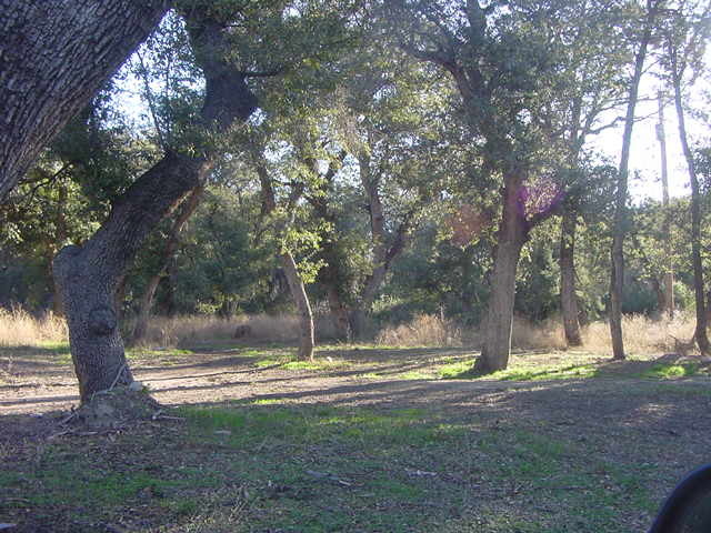 52975 East Harper Road Miami, AZ 85539 - Photo 2 of 31 a view of outdoor space with trees