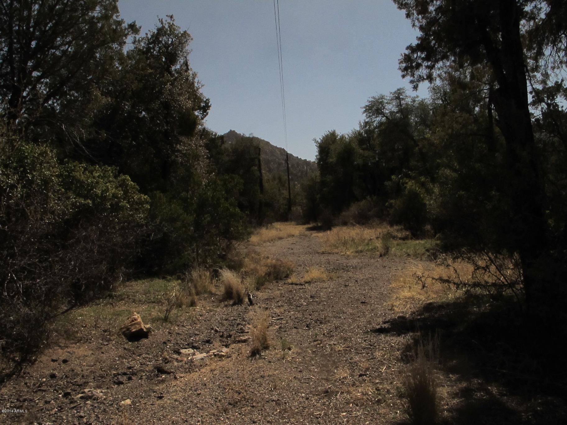 52975 East Harper Road Miami, AZ 85539 - Photo 21 of 31 a view of a yard