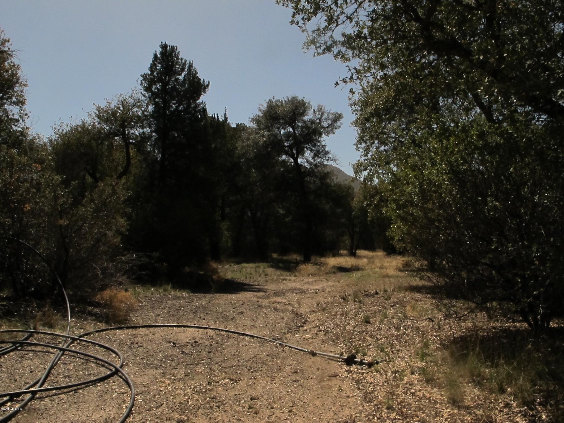 52975 East Harper Road Miami, AZ 85539 - Photo 22 of 31 a view of a yard with trees