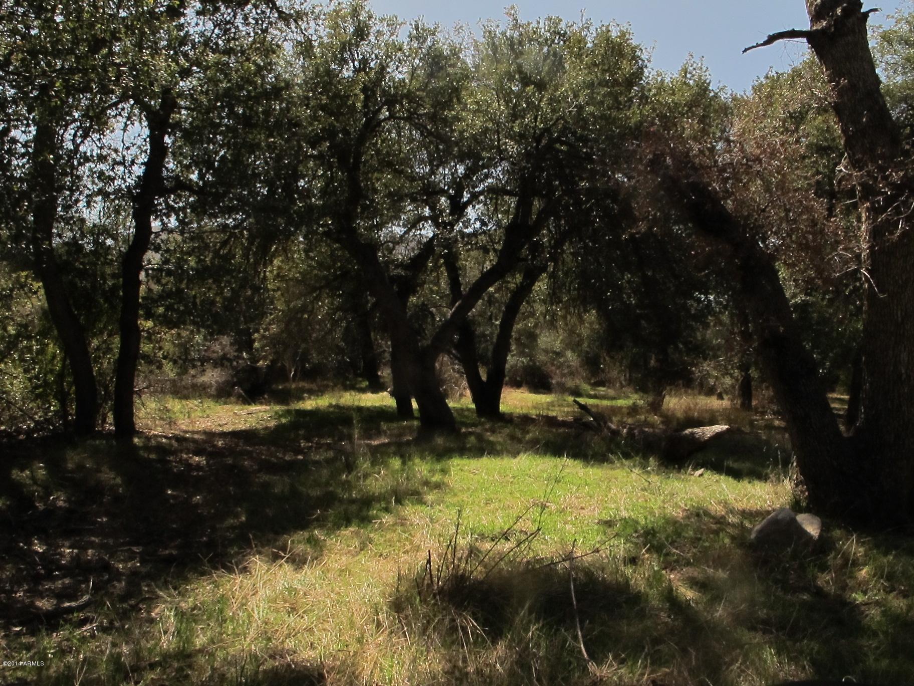 52975 East Harper Road Miami, AZ 85539 - Photo 24 of 31 a view of a yard with trees