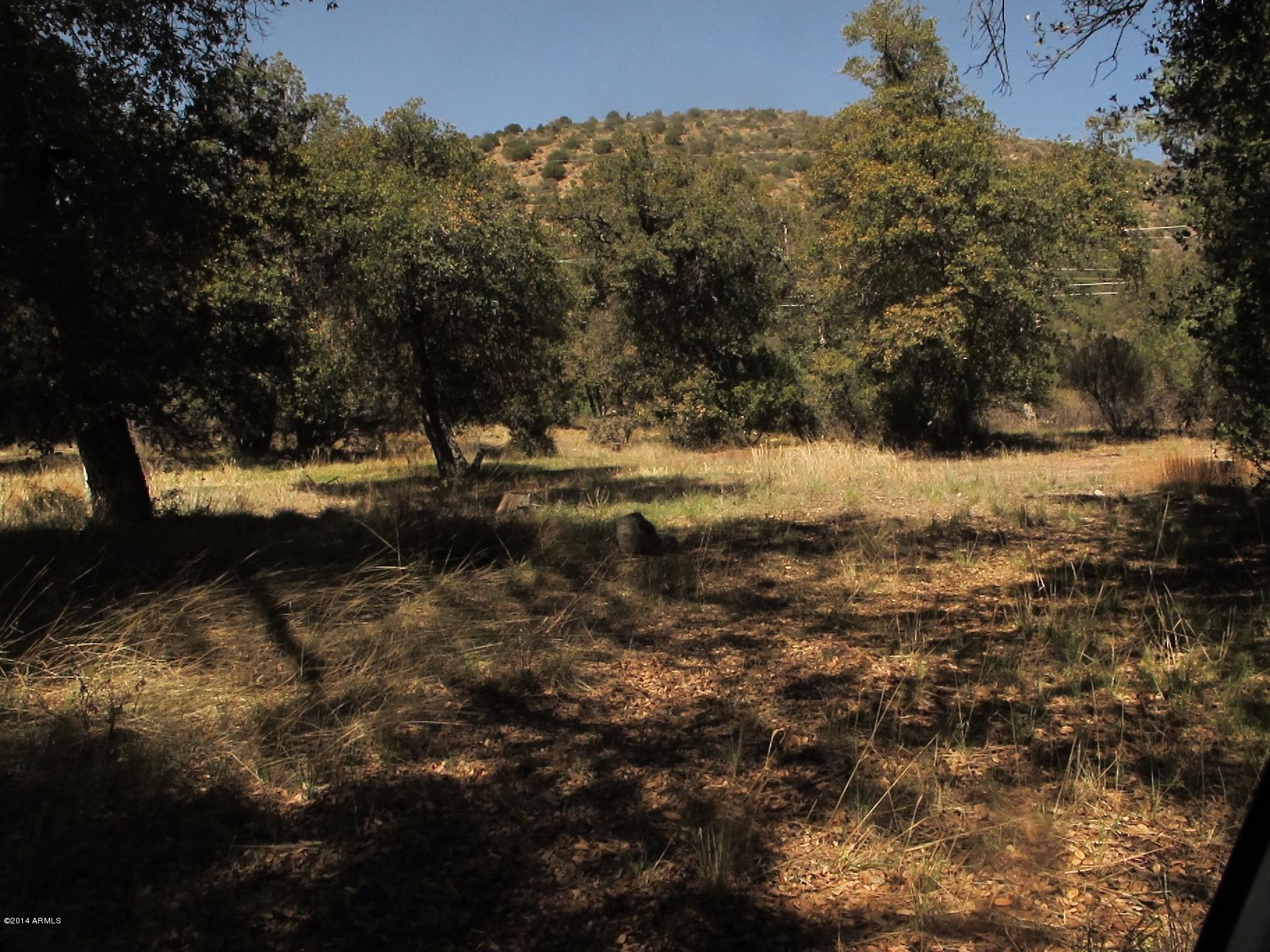 52975 East Harper Road Miami, AZ 85539 - Photo 25 of 31 a view of a yard with a tree