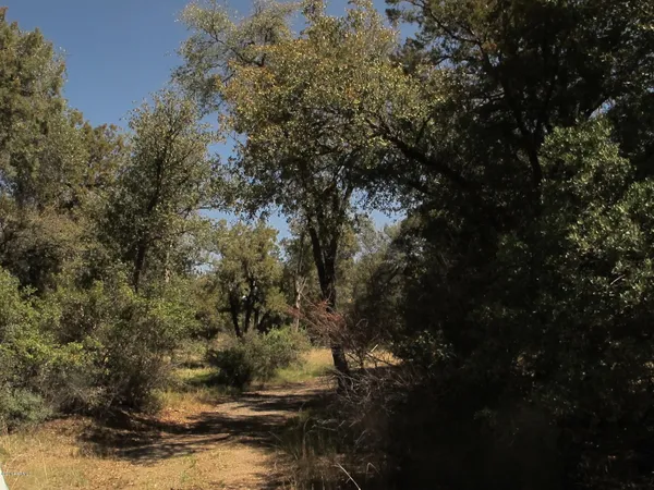 a view of outdoor space with trees