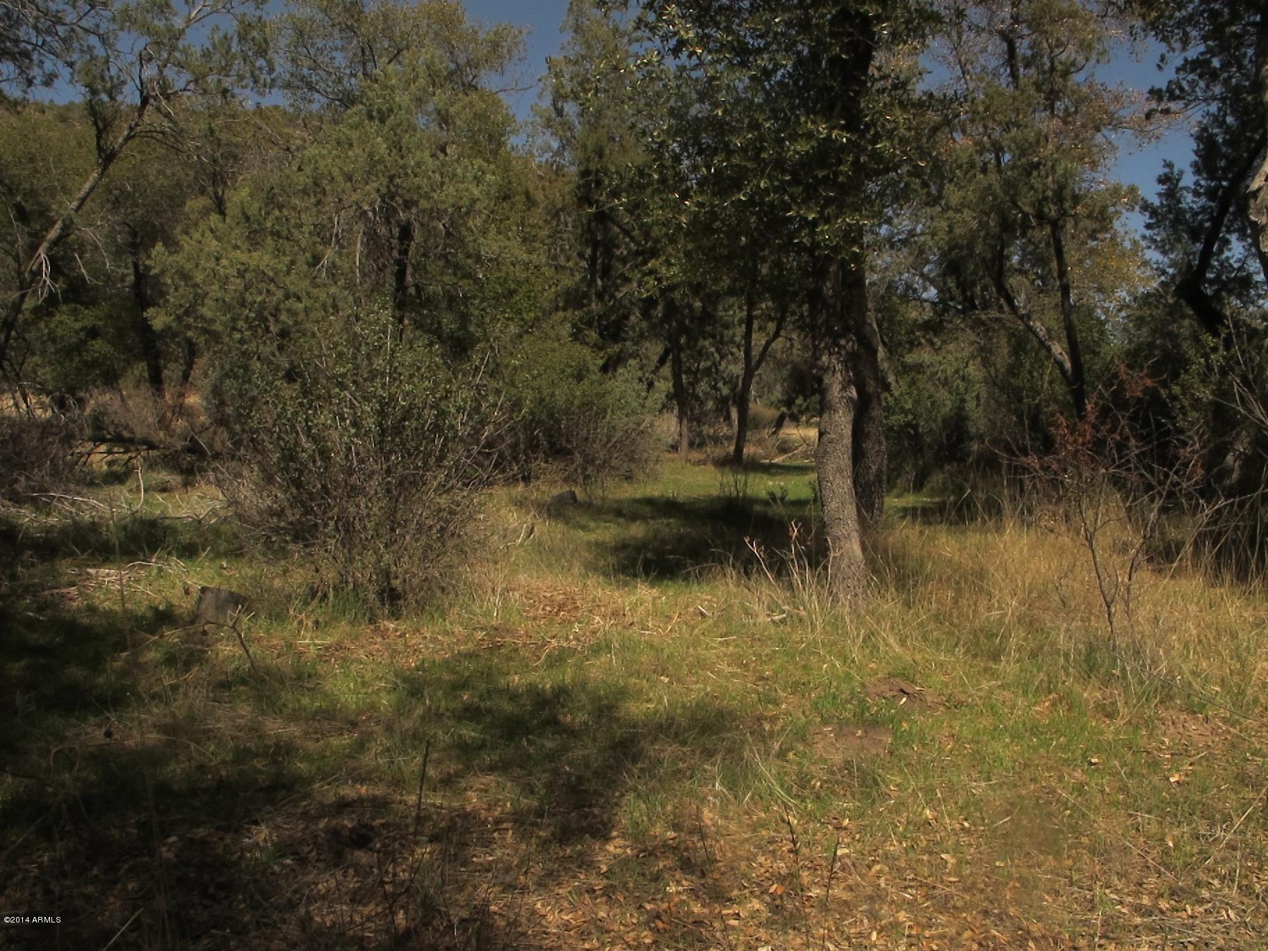 52975 East Harper Road Miami, AZ 85539 - Photo 28 of 31 a view of lake with green space
