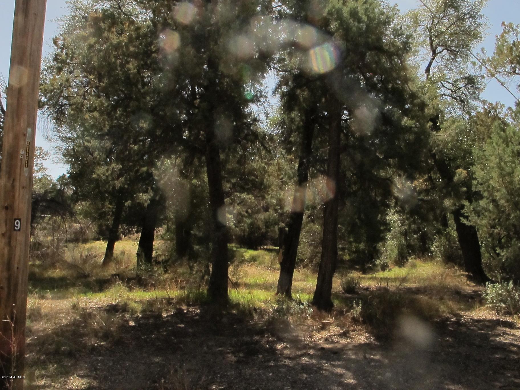 52975 East Harper Road Miami, AZ 85539 - Photo 29 of 31 a view of a yard