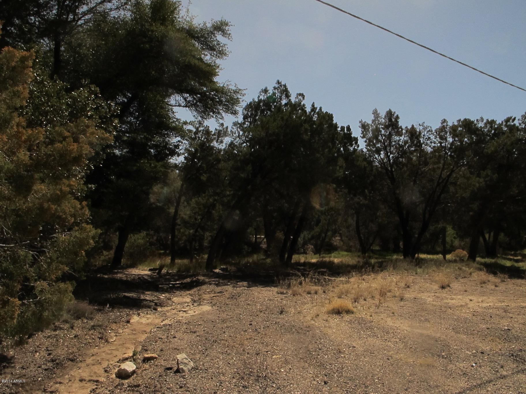 52975 East Harper Road Miami, AZ 85539 - Photo 30 of 31 a view of outdoor space with trees
