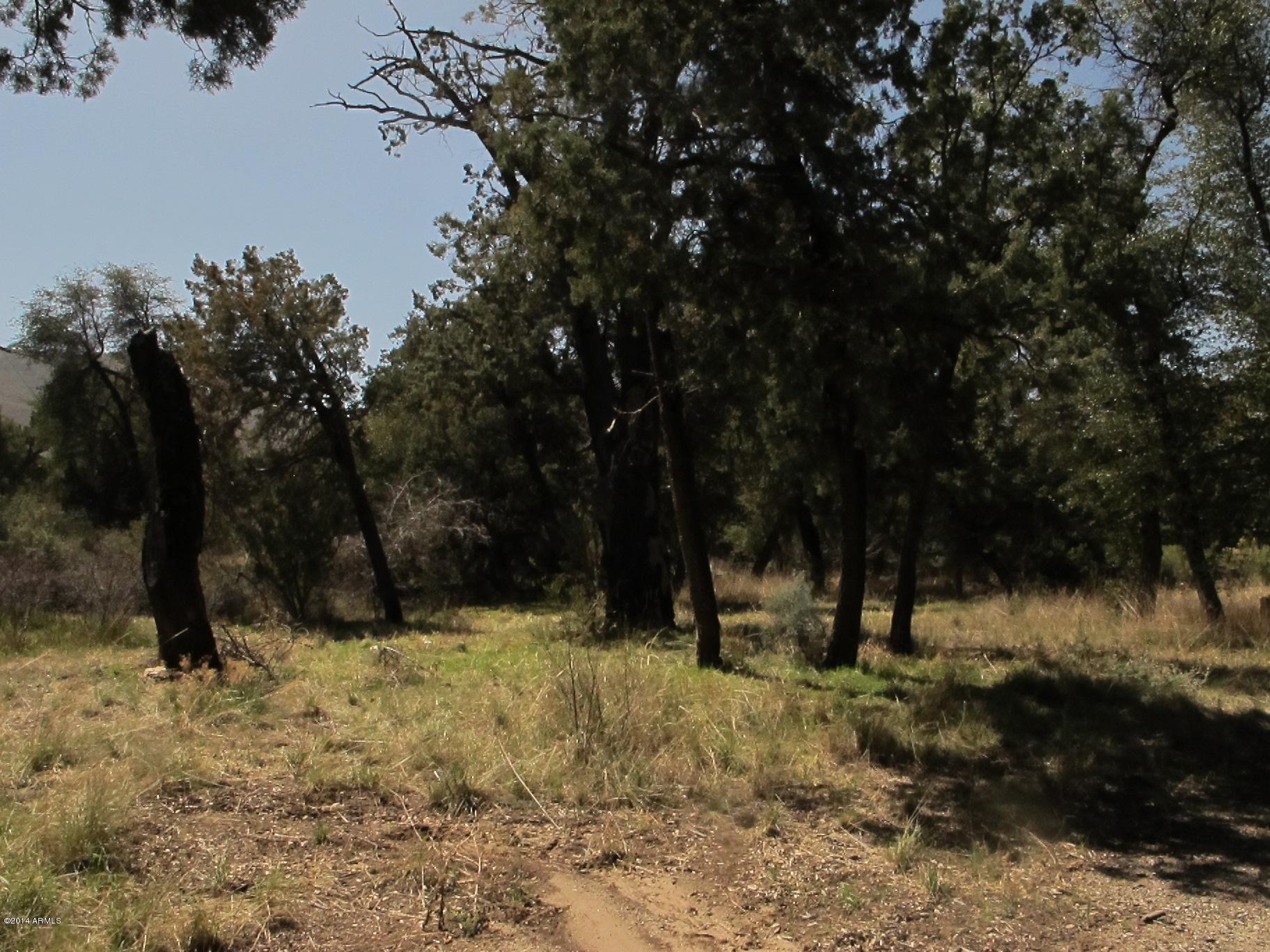 52975 East Harper Road Miami, AZ 85539 - Photo 31 of 31 a view of outdoor space with trees