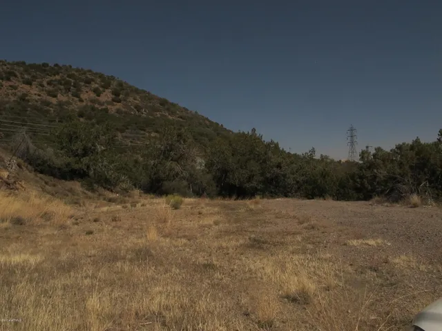 a view of ocean and trees