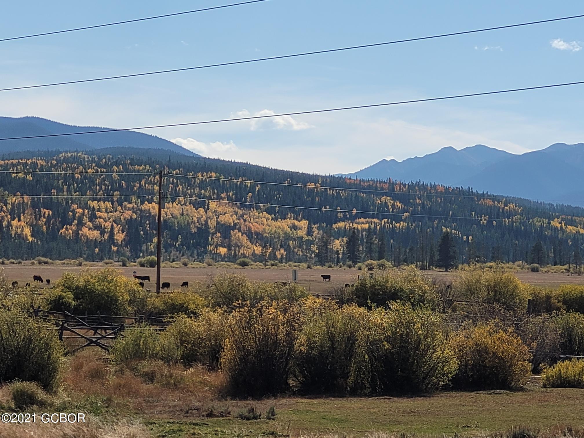 215 Carriage Road Fraser, CO 80442 - Photo 46 of 79 20210926_150506