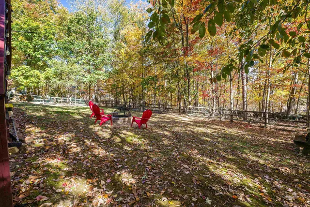 a view of a house with a large tree