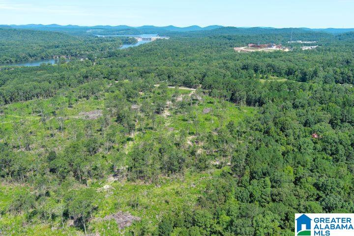 209 Harts Ferry Road, Unit 3 Ohatchee, AL 36271 - Photo 19 of 24