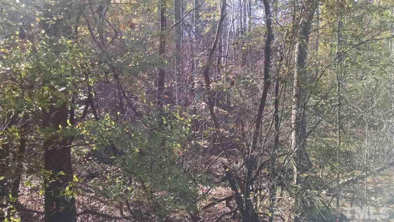 7915 McKee Road, Unit B Rougemont, NC 27572 - Photo 3 of 5 a close up of a tree