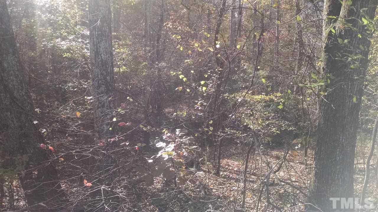7915 McKee Road, Unit B Rougemont, NC 27572 - Photo 4 of 5