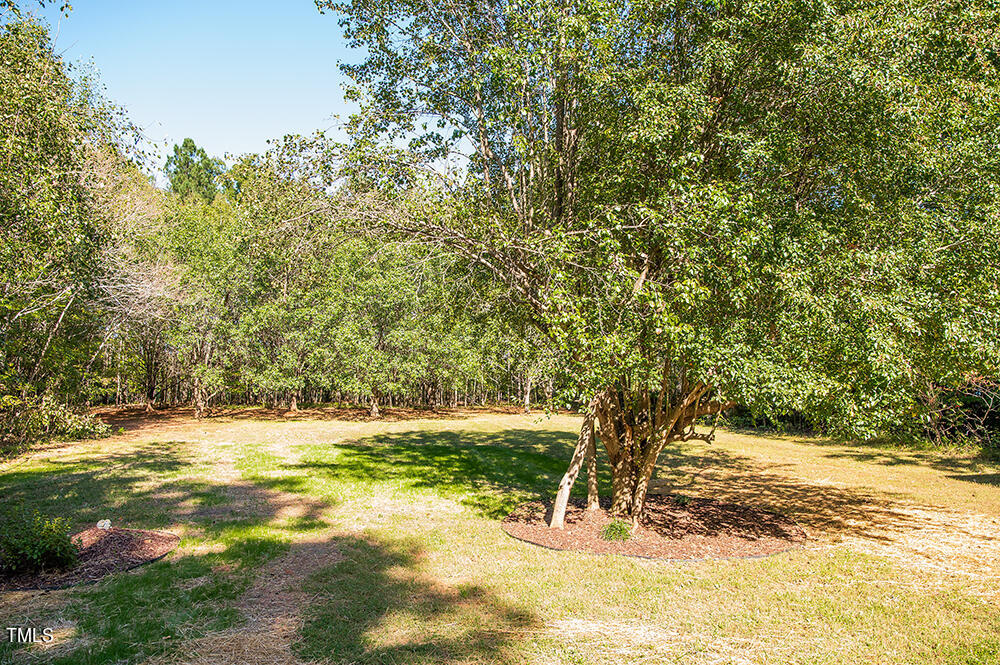 850 Lewis Winstead Lp Road Roxboro, NC 27574 - Photo 54 of 72 a view of outdoor space with trees