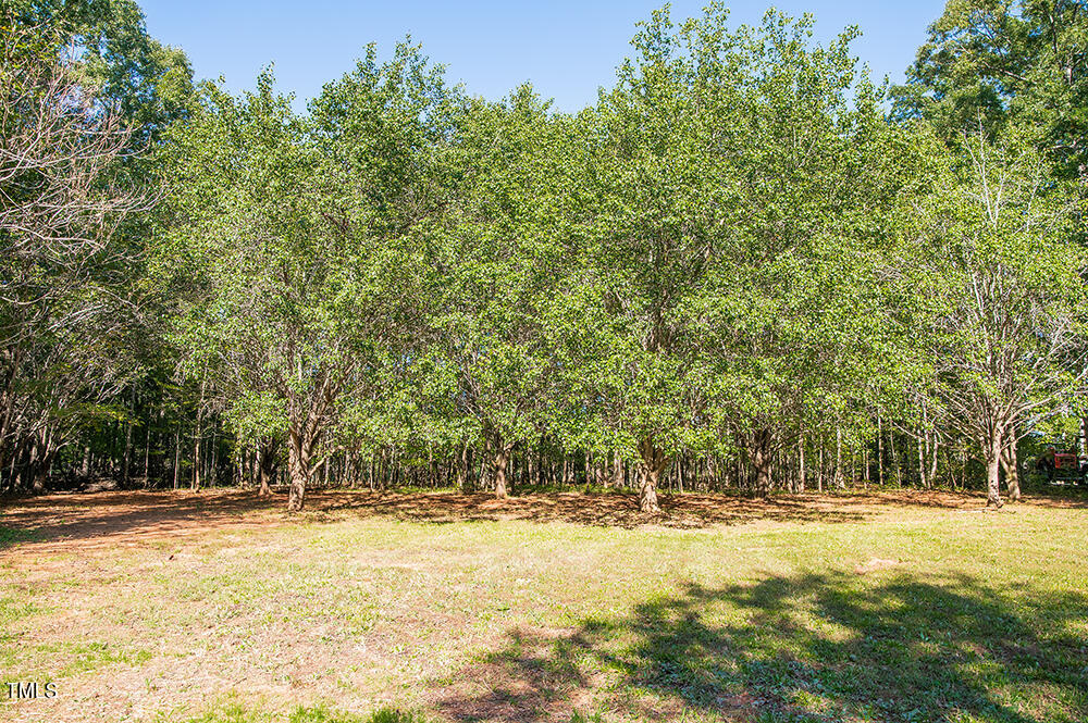 850 Lewis Winstead Lp Road Roxboro, NC 27574 - Photo 56 of 72 a view of yard with swimming pool and trees