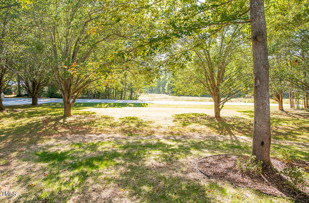 850 Lewis Winstead Lp Road Roxboro, NC 27574 - Photo 70 of 72 a view of yard with tree and wooden fence