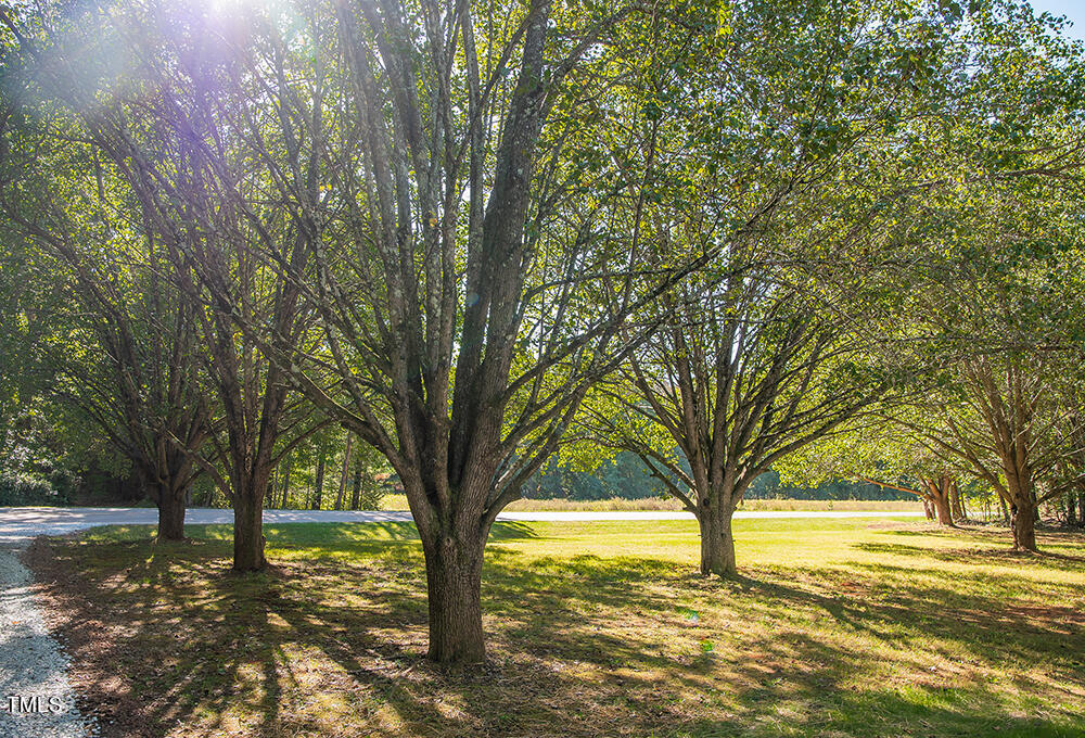 850 Lewis Winstead Lp Road Roxboro, NC 27574 - Photo 72 of 72 W85 copy