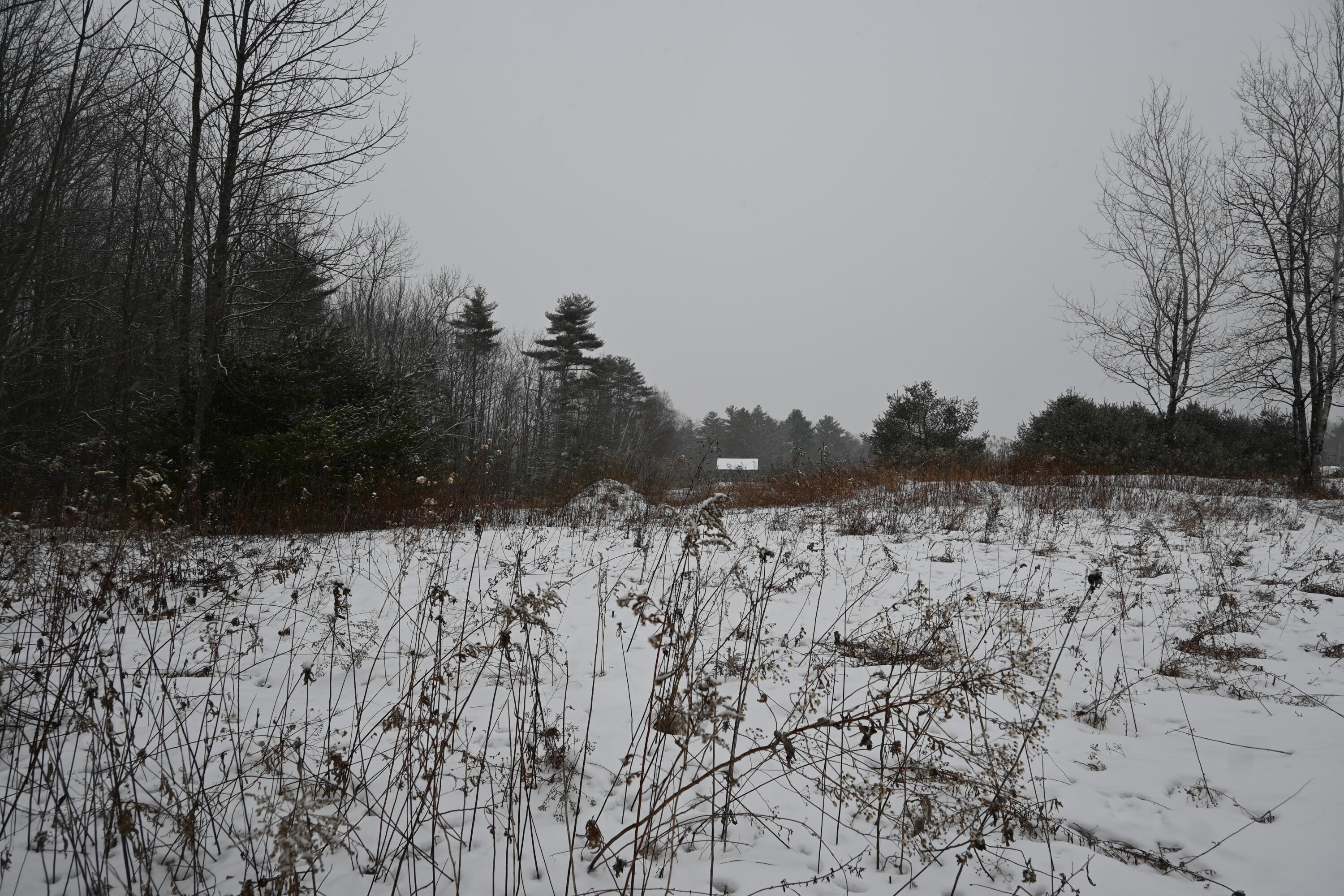 20 Copper Rdg Road Greene, ME 04236 - Photo 6 of 15 3758FB3E-ABD4-427C-8EAE-49CF92EEE071