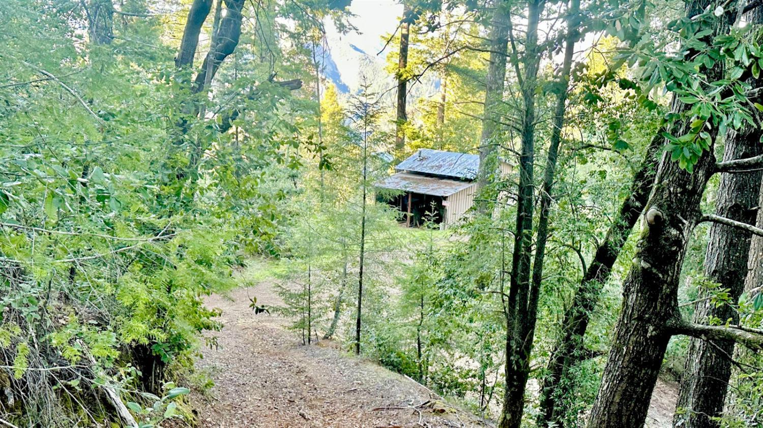 5000 Mohrhardt Ridge Road Cazadero, CA 95421 - Photo 64 of 70