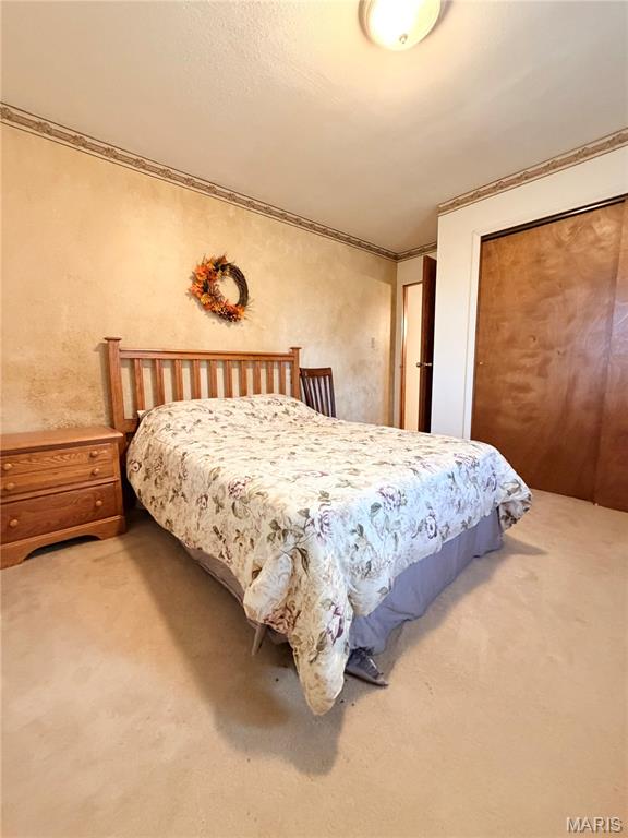 22731 Hayes Road Center, MO 63436 - Photo 12 of 22