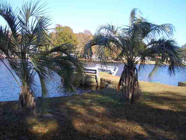 Tract D Folly Road Myrtle Beach, SC 29588 - Photo 1 of 8 Gallery Image 1