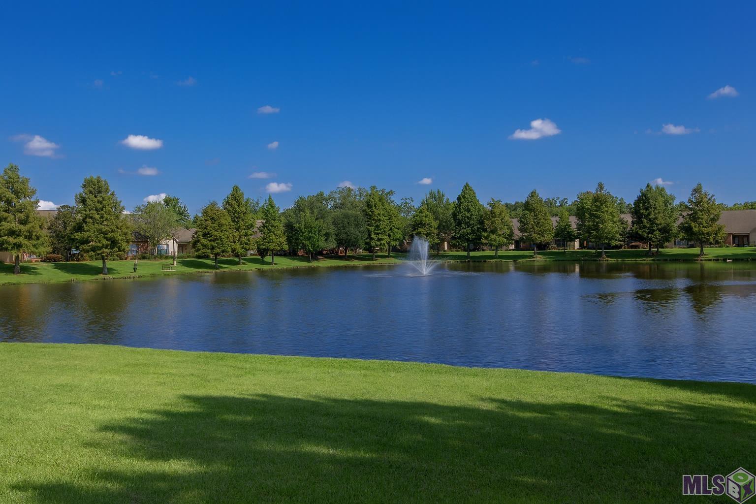 809 Summer Breeze Drive, Unit 703 Baton Rouge, LA 70810 - Photo 23 of 24