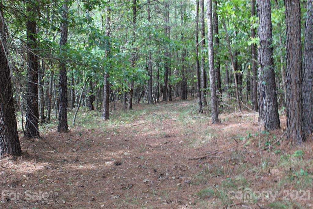 457 Kiser Road Bostic, NC 28018 - Photo 1 of 40 Gallery Image 1