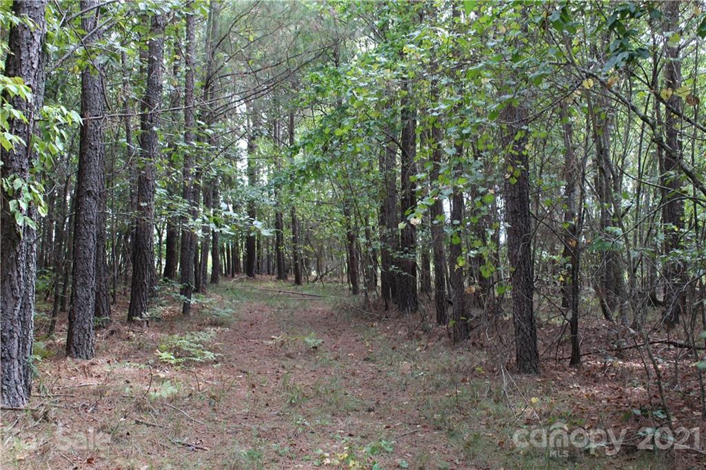 457 Kiser Road Bostic, NC 28018 - Photo 2 of 40 Gallery Image 2