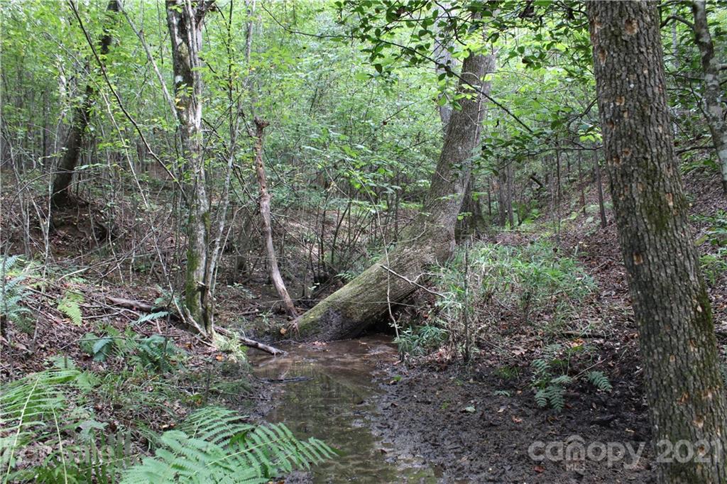 457 Kiser Road Bostic, NC 28018 - Photo 11 of 40 Gallery Image 11