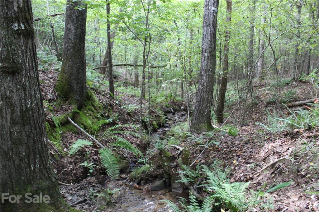 457 Kiser Road Bostic, NC 28018 - Photo 12 of 40 Gallery Image 12