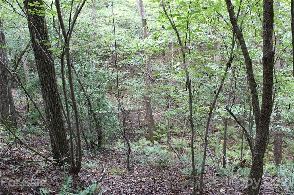 457 Kiser Road Bostic, NC 28018 - Photo 13 of 40 Gallery Image 13
