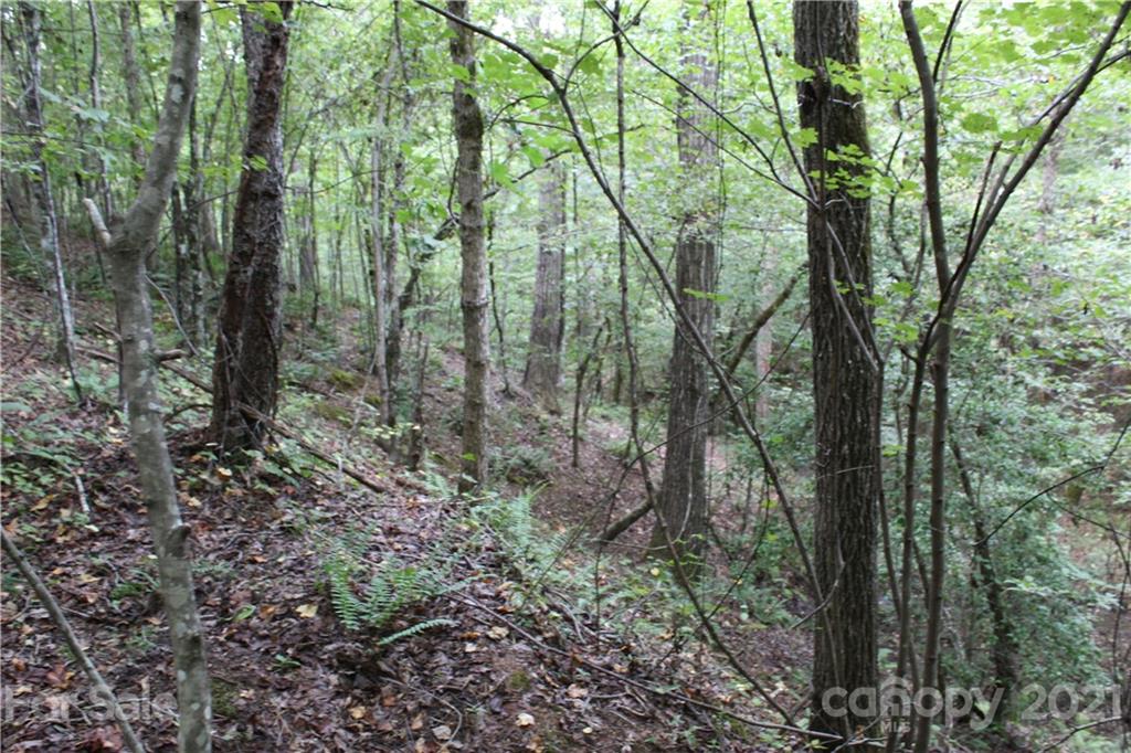 457 Kiser Road Bostic, NC 28018 - Photo 14 of 40 Gallery Image 14